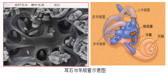 著名歌手自曝患“不治之症”，已复发多次！医生提醒