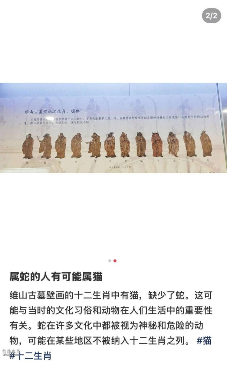 古代壁画十二生肖图有猫无蛇？专家：与主流相差很大