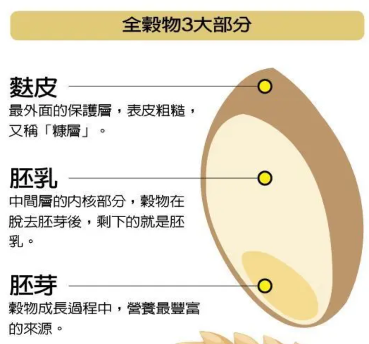 多谷≠全谷你吃对了吗？分辨全谷物真假要有这3部分