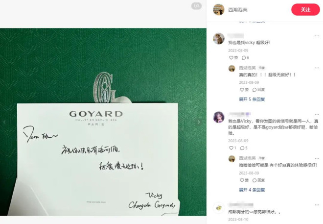 Goyard涨价 中产排队疯抢“蛇皮袋” 保值率为什么超爱马仕？