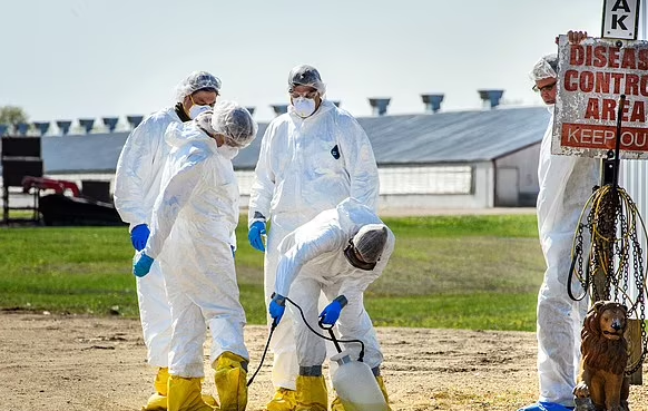 大批华人病倒 高烧狂咳黄痰 ！首宗禽流感死亡 病毒体内变异！